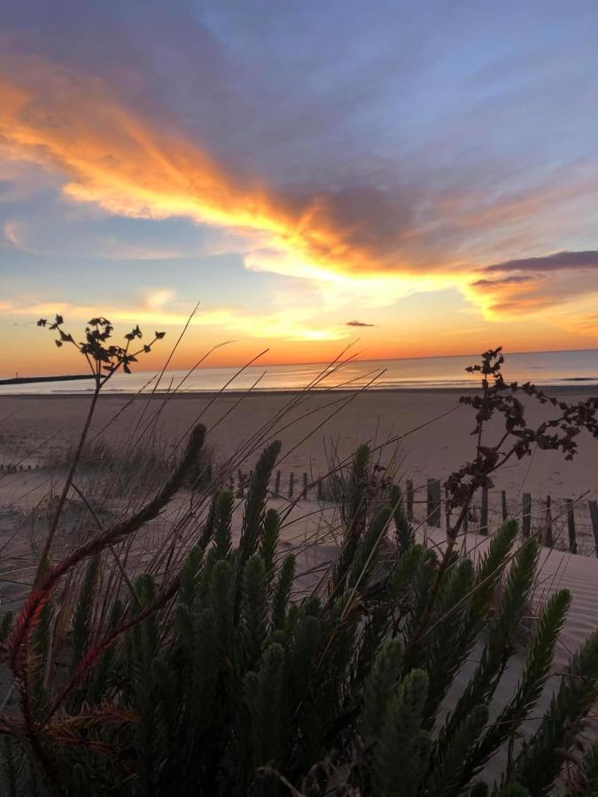 Residence Le Sunset Marseillan-Plage, Entre Mer Et Lagune De Thau, Etape Velo, Famille, Couple, Vrp, Toutou Admis, Jardin, Parking Prive Gratuit, Velos, Clim, Wifi Fibre Gratuite, Commodites, Plage Et Piste Cyclable A Proximite, 6 Couchages Nous Cont Eksteriør bilde